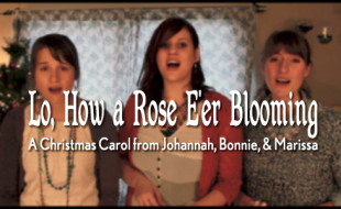 Lo-How-a-Rose-E'er-Blooming-Header